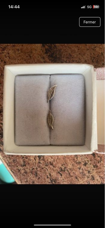 Boucle d’oreille 