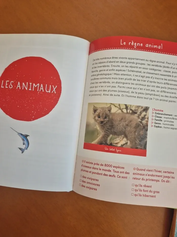 La première encyclopédie - photo numéro 4
