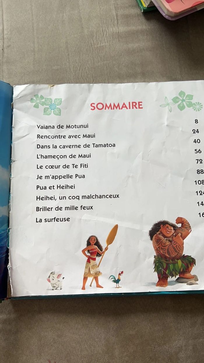 Livre vaiana - photo numéro 3