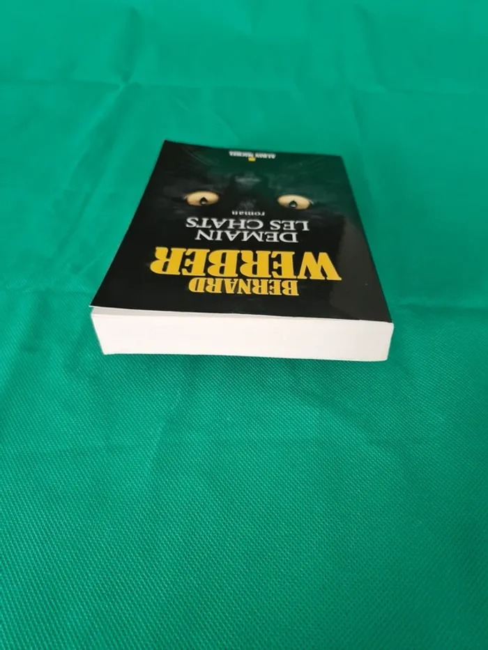 Demain les chats Bernard Werber - photo numéro 4