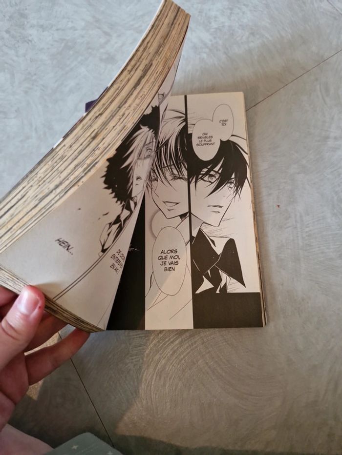 Manga pure blood boyfriend - photo numéro 3
