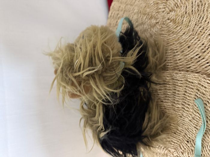 Peluche Chiot Yorkshire Terrier - photo numéro 4