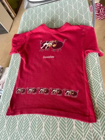 Teeshirt garçon 4 ans