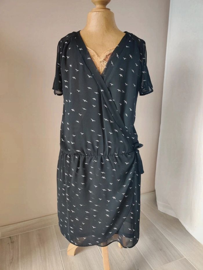 Robe noire oiseaux