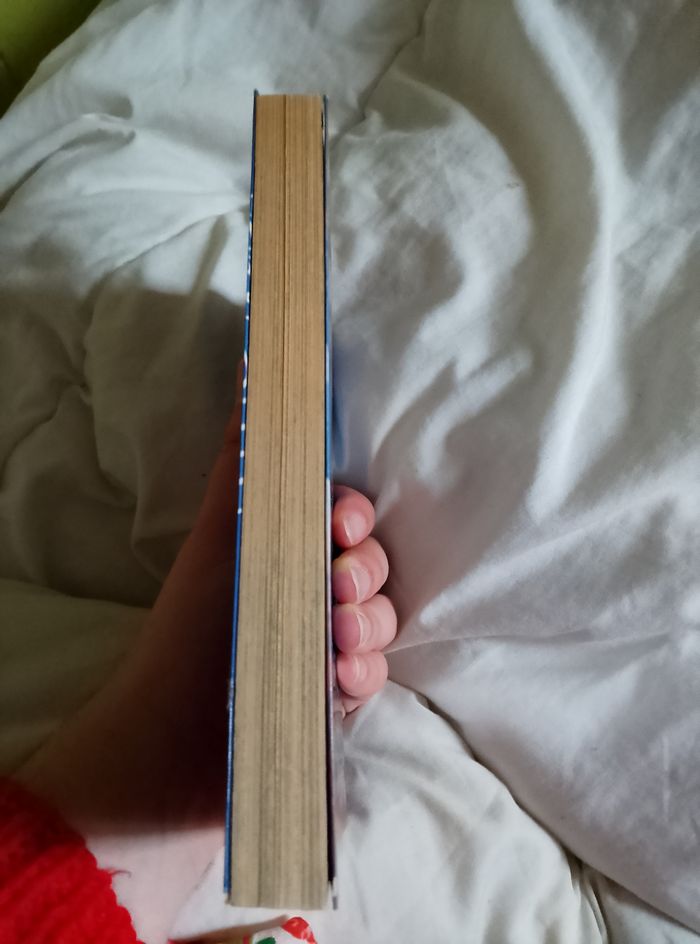 Eagle - photo numéro 4