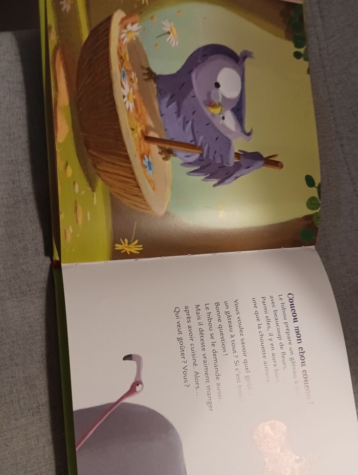 Livre mamie poule raconte le hibou qui cuisinait comme un fou - photo numéro 4