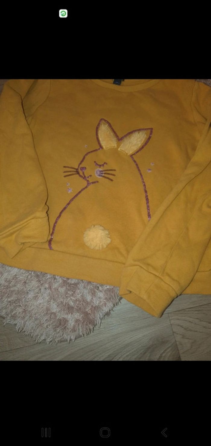 Pull 8 ans - photo numéro 2
