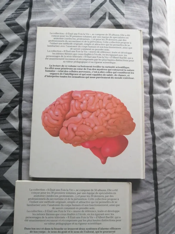 Livres Il était une fois la vie - photo numéro 2