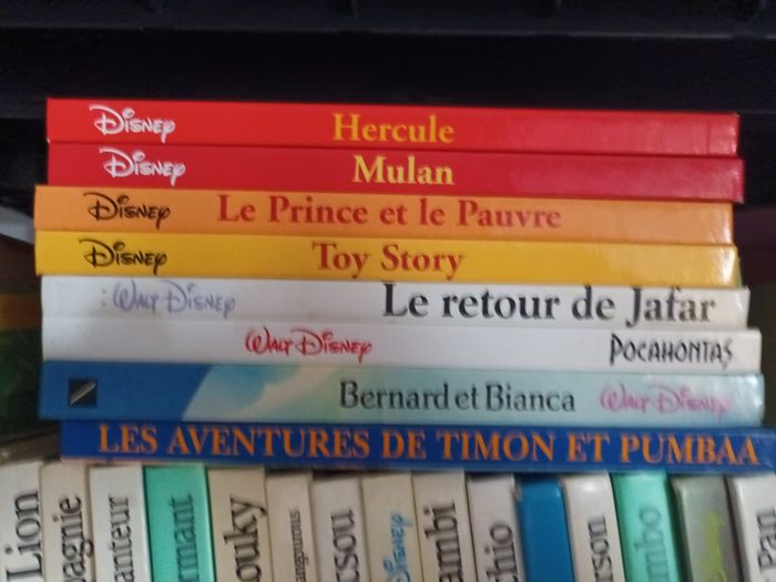 Walt Disney livre enfant - photo numéro 2