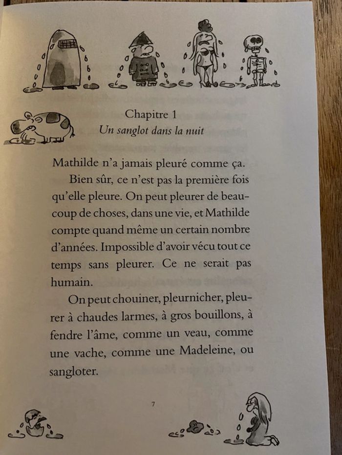 livre jeunesse - photo numéro 4