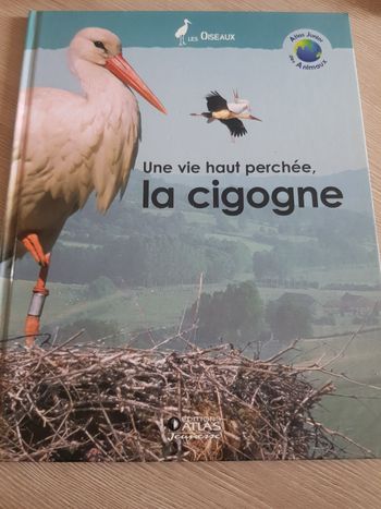 La cigogne