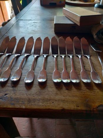 Lot 12 couteaux à poissons neuf