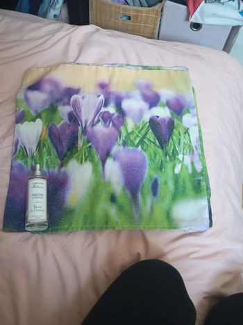 Deux taies petit oreiller