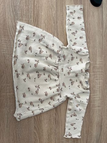 Robe LPC