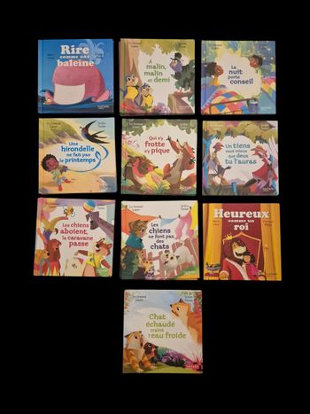 Lot 10 livres Collection les dictons