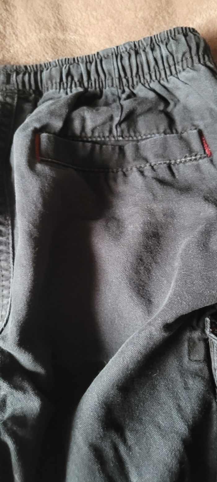 Cargot - photo numéro 9