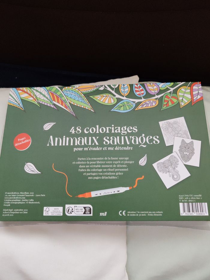 Boîte coloriage - photo numéro 2