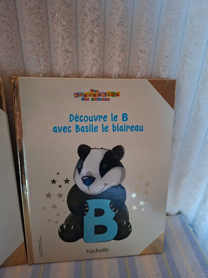 Livres éducatif A et B pour enfants - photo numéro 3