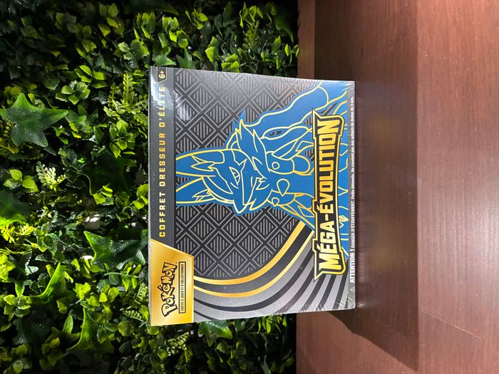 🌟 Coffret dresseur d'élite méga-évolution - lucario