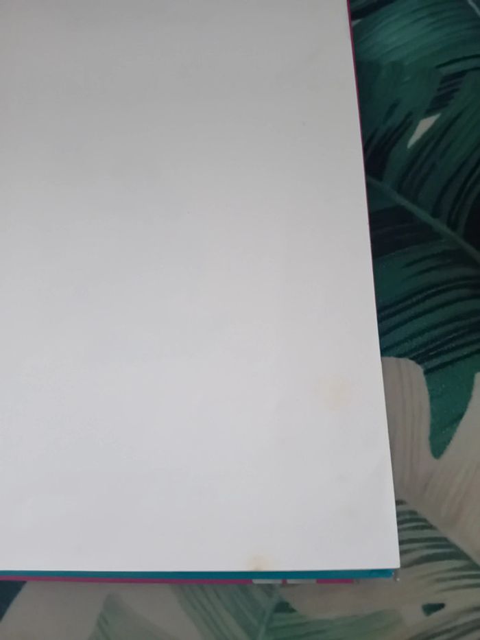 Lot de 2 livres disney tbe - photo numéro 7