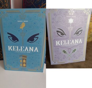 2 Romans Keleana tomes 6 La Tour de l'Aube et 7- Sarah J. Maas La Martinière