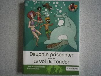 DAUPHIN PRISONNIER ET LE VOL DU CONDOR