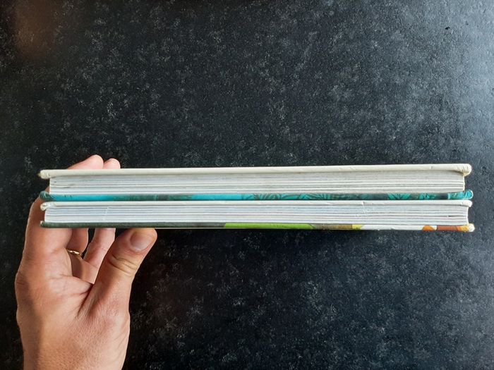 Lot 2 histoires Disney classiques - édition France Loisirs - photo numéro 4