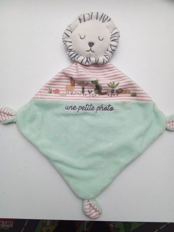 Doudou mouchoir garçon marque mots d'enfants vert eau rayure tête de lion écriture une petite photo