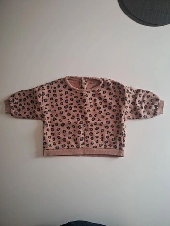 Pull Léopard