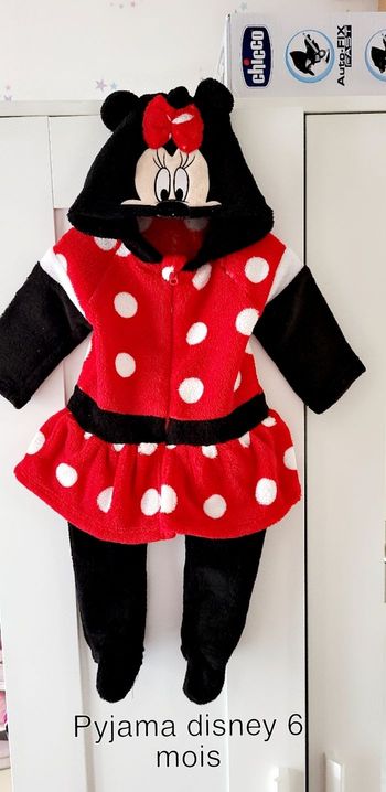 Combi Minnie