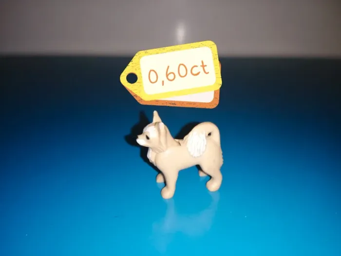 Thème* animaux / chien - chiot - photo numéro 6