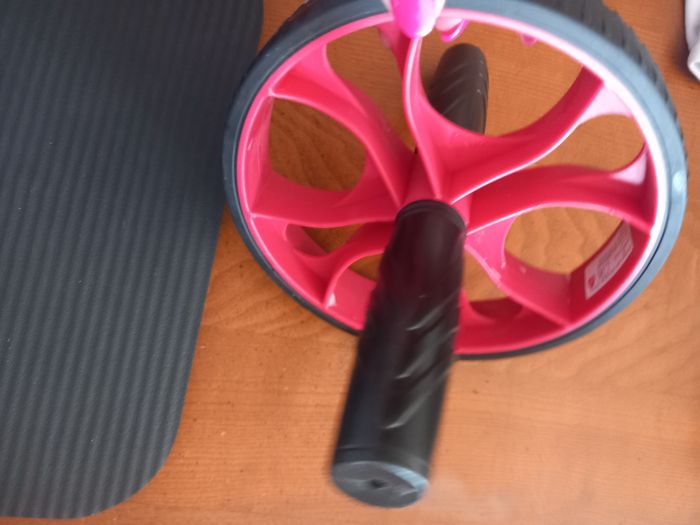 Roue pour abdots - photo numéro 3