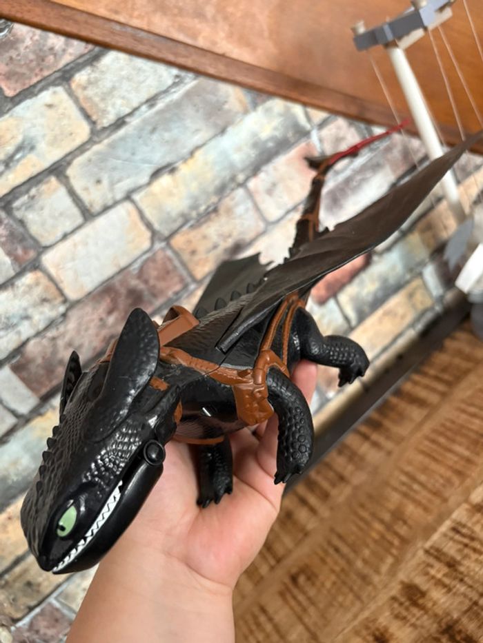 Dragon Krokmou - photo numéro 2