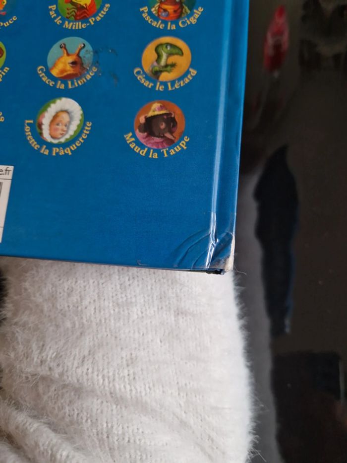 Livre Juliette la rainette 33 - photo numéro 2