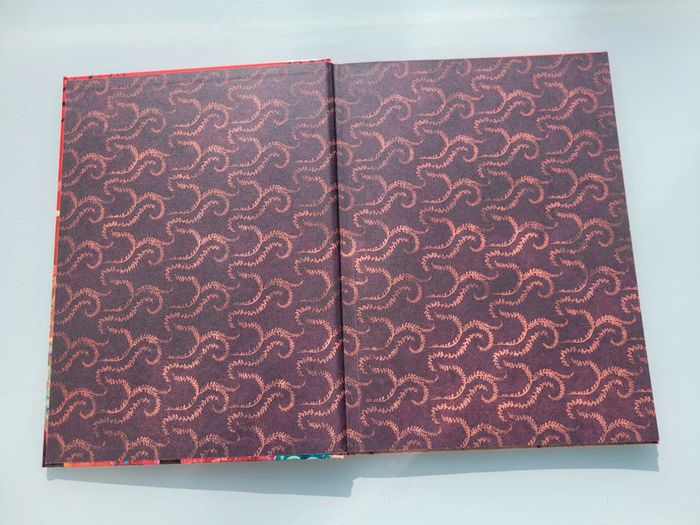 Magnifique livre Mystérieuses Princesses avec des touches métallisées - photo numéro 3