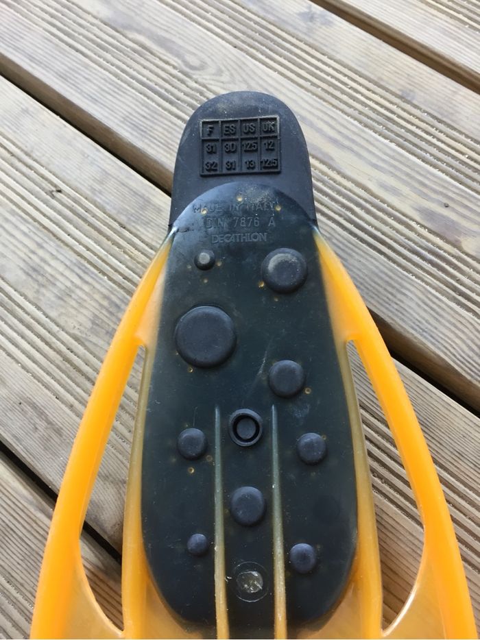 Palme 31 à 32 - photo numéro 3