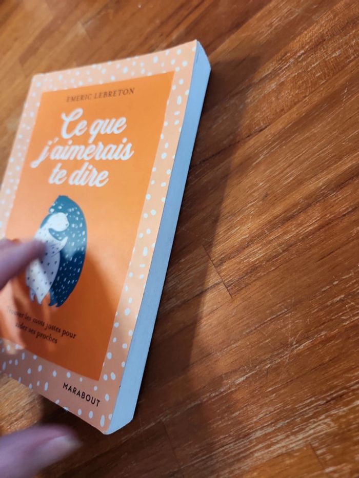 Livre : Ce que j'aimerai te dire - photo numéro 4