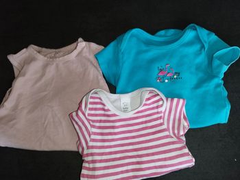 Bodies manches courtes