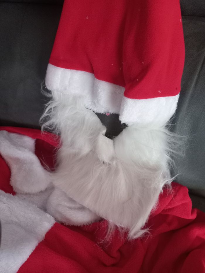 Deguisement père Noël adulte taille L - photo numéro 4