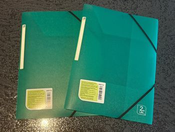 Lot de 2 pochettes en plastiques vertes
