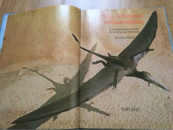 Animaux préhistoriques ou dinosaures - photo numéro 3
