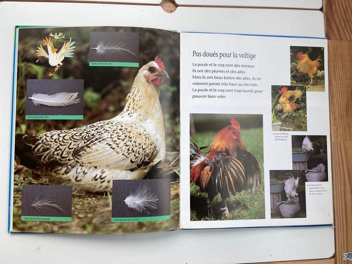 Livre La poule et le coq - photo numéro 2