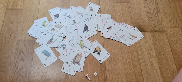 Jeu de 52 cartes oiseaux - photo numéro 6