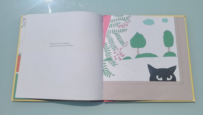 🐱 Mon gros chat 🐱 livre albin michel jeunesse - photo numéro 7