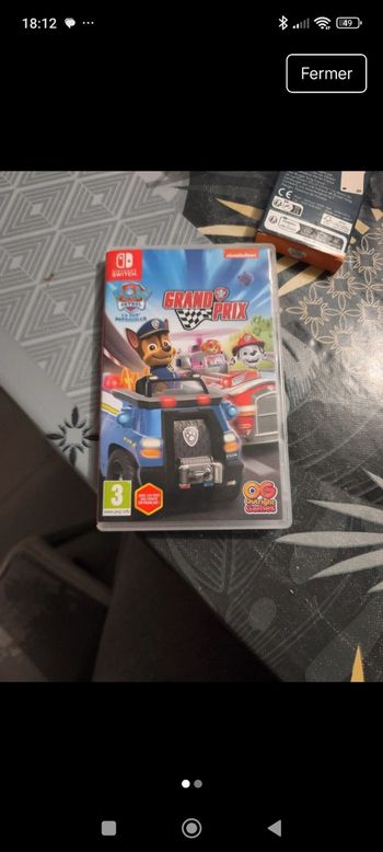 Paw patrol grand prix