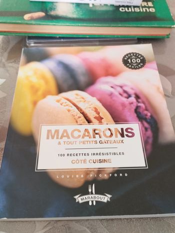 livre les macarons & tout petits gateaux neuf