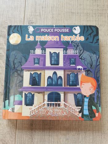 Livre la maison hantée
