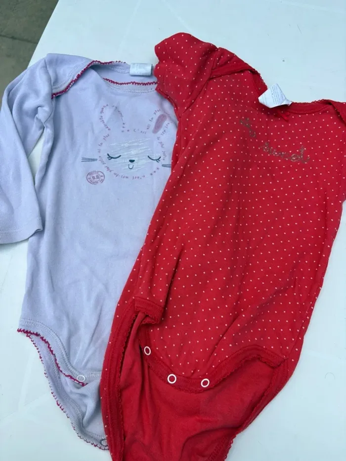 Lot de 2 bodys absorba 18 mois