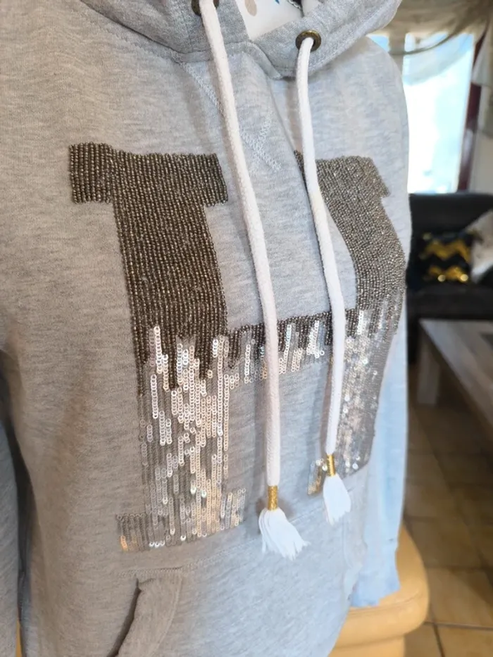 Joli sweat à capuche gris - photo numéro 3