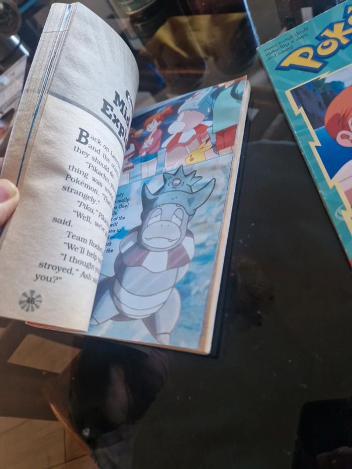 Livres pokemon vintage - photo numéro 9